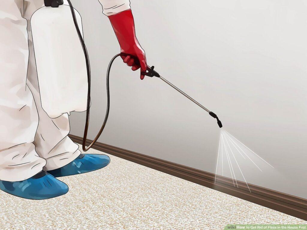 How To Kill Fleas In Your House Quickly And Effectively Home Decor Muse